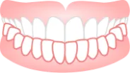 下の歯が上の歯よりも前にある前歯が反対になっている